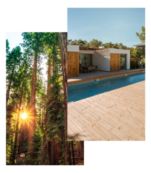 redwood forest and dfw backyard deck